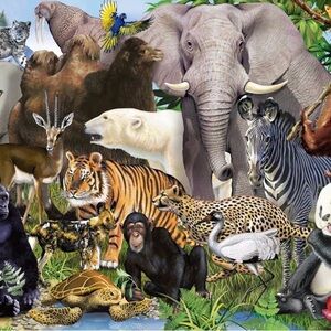 Forest Friends Wildlife Safari Puzzle 1000 pieces